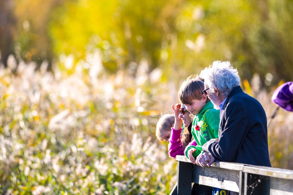 Wellbeing and our wetlands: a summer guide